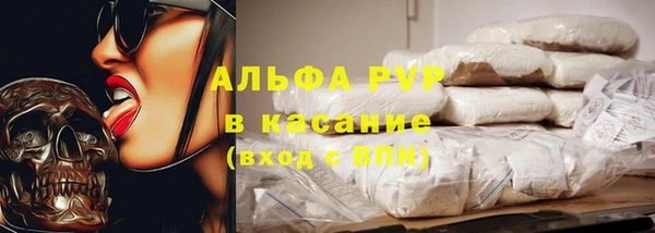 стаф Болотное
